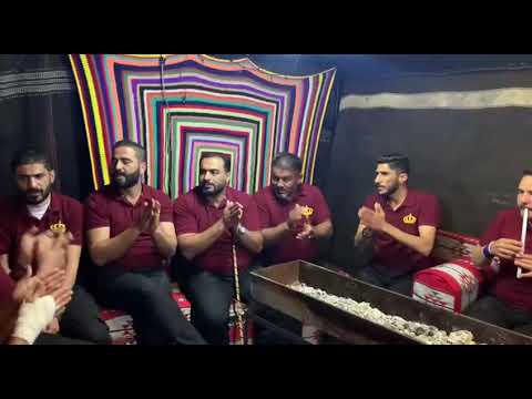 هدا الزرزور ع الشجر مطبخ شاهيناز ٢٠٢٤