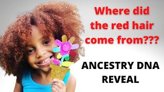 Ancestry DNA Results: Black People with Red Hair