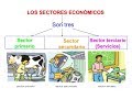 Sectores económicos