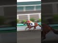 1 | NEW FOREST | L Hewitson | #Hewitson #Horse #Racing #Sport #Results #賽馬結果 #马會 #油管 #赛马结果
