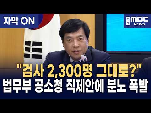 [자막] "검사는 수사에서 완전히 손 떼라" 이성윤, 공소청 꼼수 직제안 전면 재설계 요구