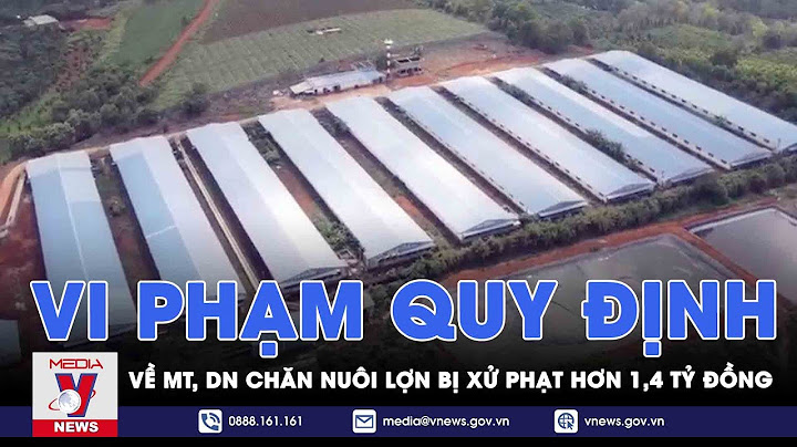 Quy định bao nhiêu m2 trong chăn nuôi lợn thịt năm 2024