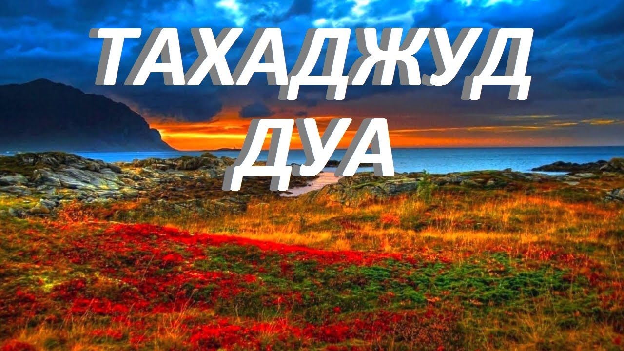 Можно ли мусульманам заводить собаку. Аяты для исполнения желаний. Большая надпись слов тахаджуд. Тахаджуд и витр. Молитва в исламе для исполнения желания.