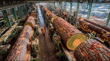 America’s Log to Lumber in Minutes: Millions of Boards Produced Daily by Modern Automatic Machines