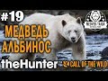 theHunter call of the wild #19 🔫 - Легендарный Медведь Альбинос - Финал Сюжета