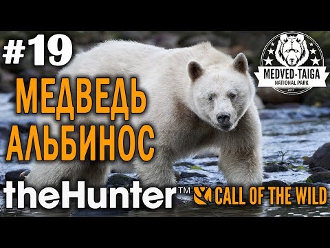 Видео: theHunter call of the wild #19 🔫 - Легендарный Медведь Альбинос - Финал Сюжета