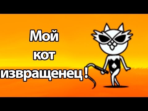 Видео: Мой кот извращенец ! ( Battle Cats )