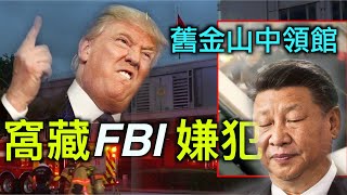 中共旧金山中领馆窝藏FBI通缉犯也被控，澳洲舰队南海遭遇中共海军对峙，美国对中共政策招招致命，智囊竟是他……