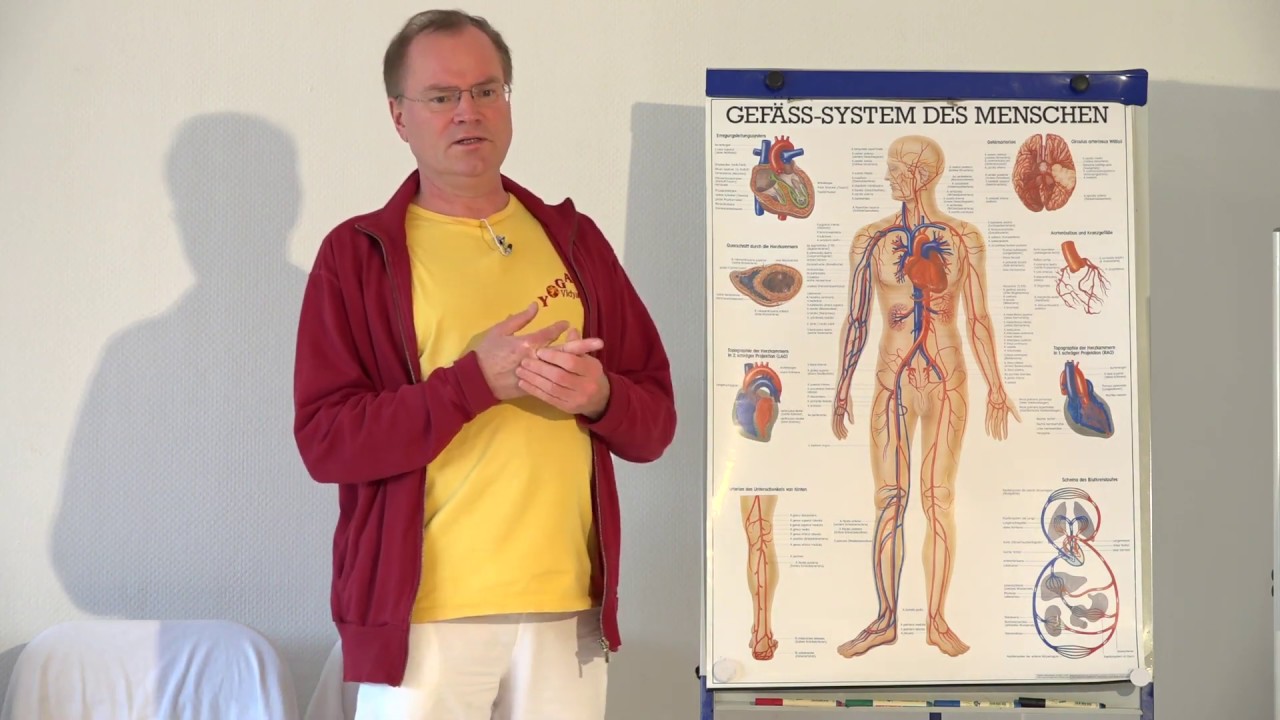 Yoga bei Krampfadern, Varikose und anderen Venenbeschwerden - Yoga hilft