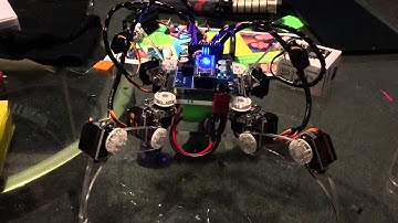 Sunfounder Quadruped Robot demo