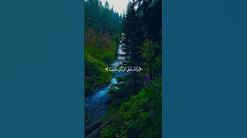 ( إذ نادر ربه نداء خفيا ) تلاوه جميله بصوت القارئ شريف مصطفي #quran
