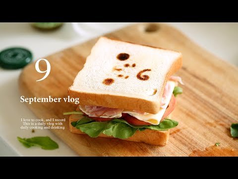 sub)<strong>BTS</strong> 샌드위치, 토끼 식빵, 하얏트 호캉스, 화이자 백신 맞고 집에서 먹으며 보내는 <strong>일상</strong> 브이로그ㅣ마지 브이로그