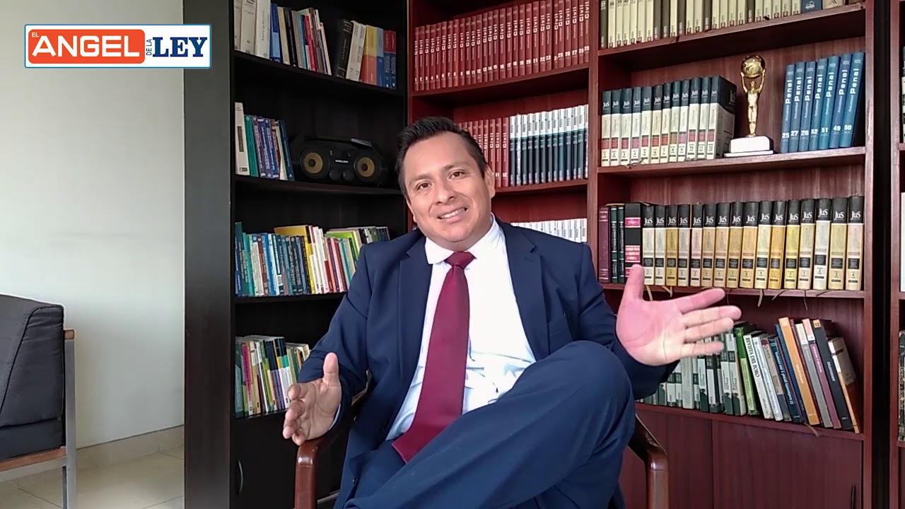 Ejecución de Sentencia de Alimentos ¿Cómo procede? - El Angel de la Ley