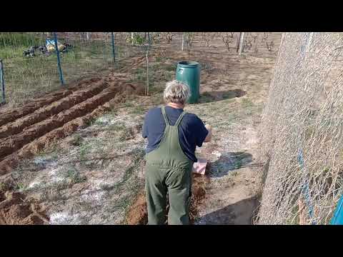 Videó: Őszi kerttakarítás: veteményeskert előkészítése télre