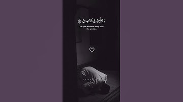وتوكل على العزيز الرحيم/ تلاوات هادئة وخاشعة بصوت عبد الرحمن مسعد