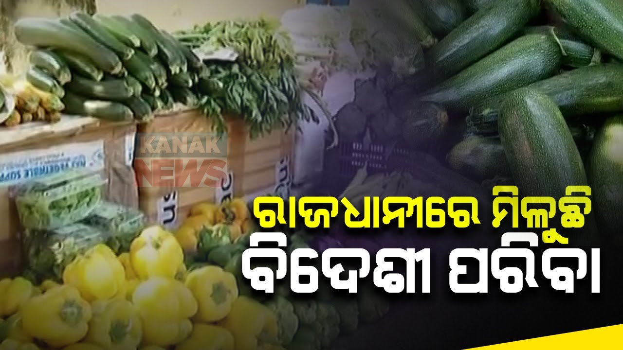Amazing Exotic Vegetables Available In Bhubaneswar YouTube