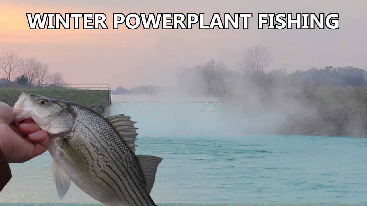 Winter Hybrid Striper Fishing at a POWERPLANT YouTube