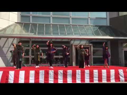 2019 第10回 岡豊山さくらまつり ステージ③[颯ダンスクラス]