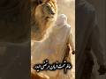 نقطه باء بسم الله حیدر حیدر شهادت امام علی استوری مذهبی کلیپ مذهبی امام علی علیه السلام اهلبیت نقطه باء بسم الله حیدر حیدر شهادت امام علی استوری مذهبی کلیپ مذهبی امام علی علیه السلام اهلبیت