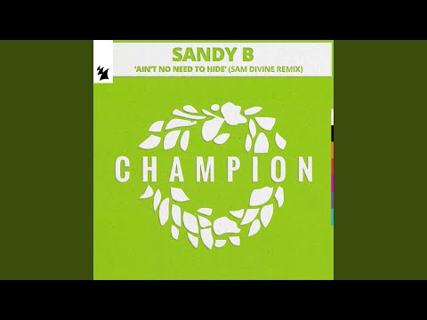Ain't No Need To Hide (Sam Divine Remix)