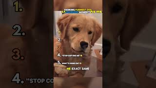 Ranking Animal Voiceover Moments!