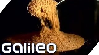 Kokosblütenzucker: Süßmittel der Zukunft? | Galileo | ProSieben