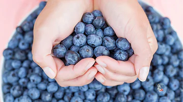 Are blueberries washed after picking?