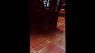 Giantess Unaware Big