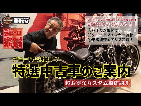 ハーレー自転車　ロードマスター製　超希少 ハーレー自転車 ロードマスター製 超希少 超希少 ロードマスター
