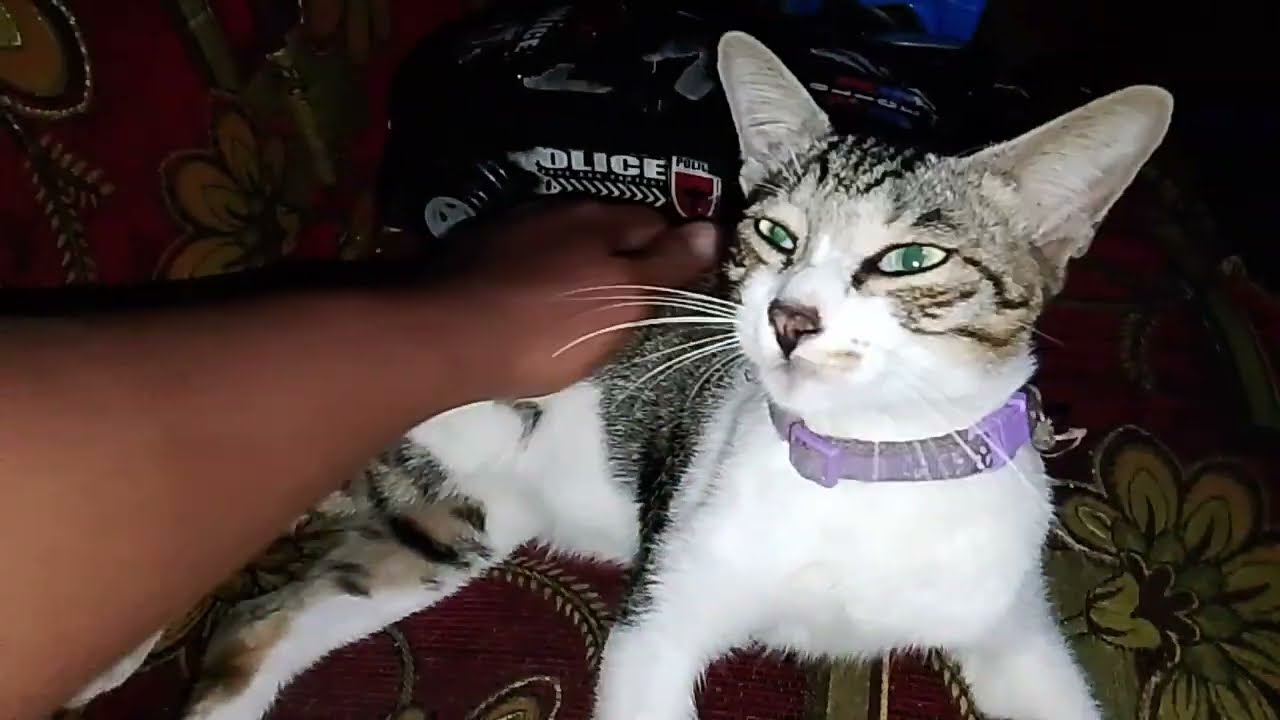 Tega bener yang mukul kaki pandu' 