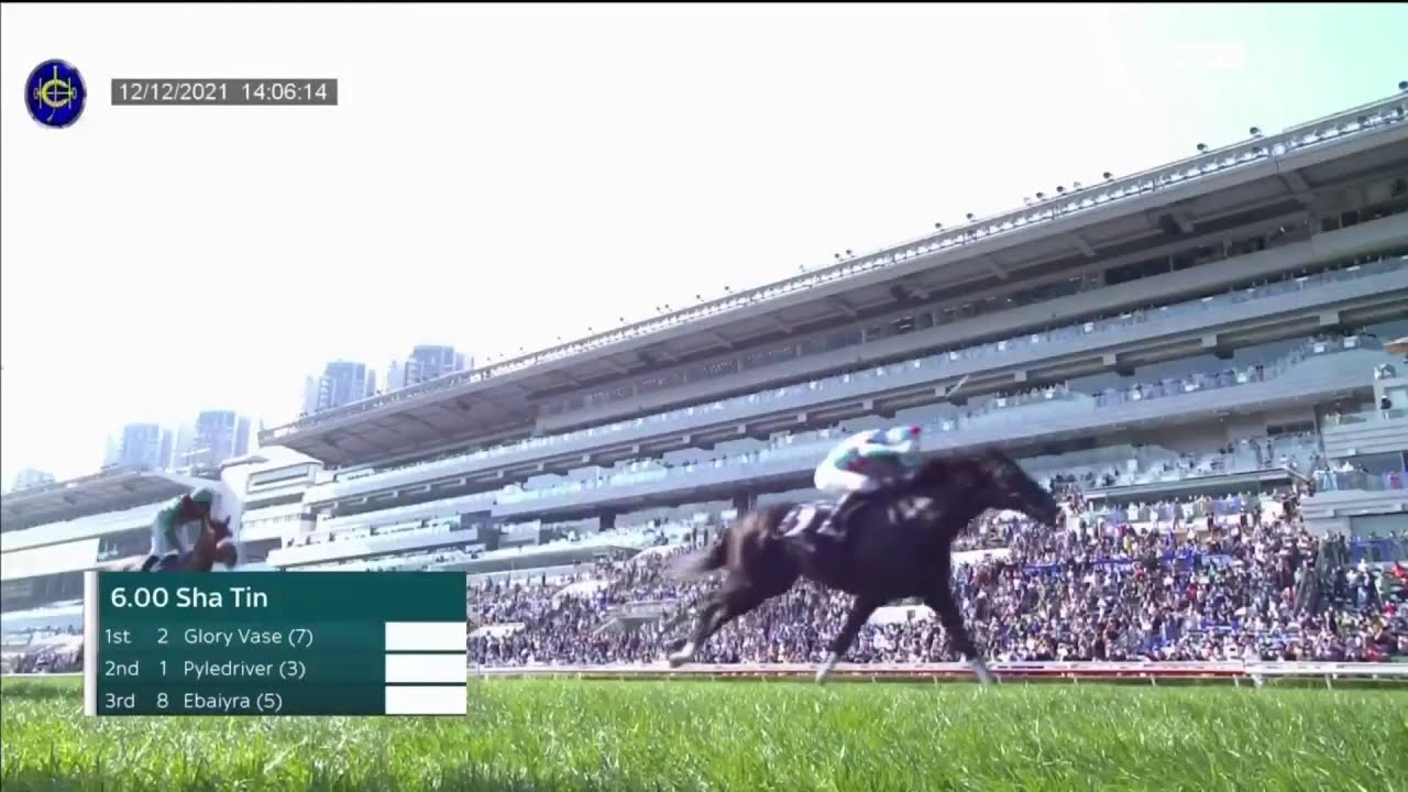 グローリーヴェイズ 香港ヴァーズ 優勝記念フォト 耀瀬瓶 2021