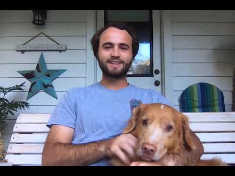 9 to 5 Pets Team - Alex Ossi