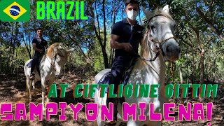 Brezilya Sampiyonu Milena At Binmenin Puf Noktalari Ata Nasil Binilir ? Brezilya - Brazil