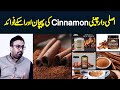 Asli Daar Cheeni Cinnamon Ki Pehchan Aur Fawaid