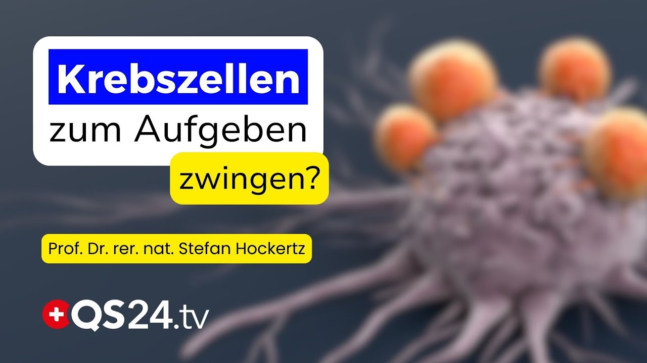 Könnte der Huaier-Pilz Krebszellen zur Heilung zwingen? | QS24 Wissenschafts-Gremium