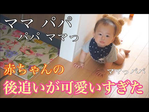 【生後8ヶ月】赤ちゃんハイハイで後追いがはじまる こんなに可愛いの Follow-up with baby hi-hi