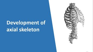 Development of axial skeleton (Part-1: Bangla)