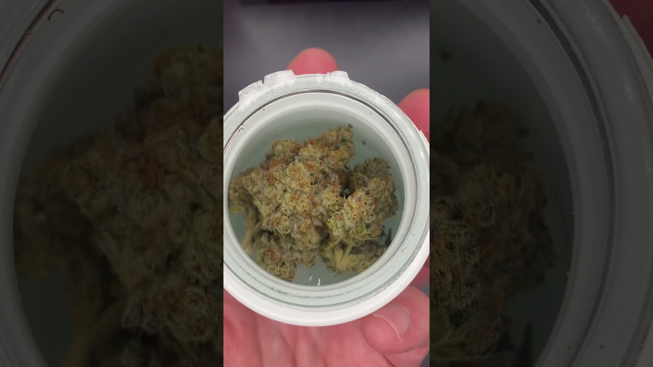 ALPINE SUNRISE ( F1 Durban x Paris OG ) from A GOLDEN STATE 🔥🔥 