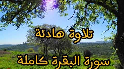 سورة البقرة بصوت ماهر المعيقلي تلاوة تشرح الصدر 💓💓