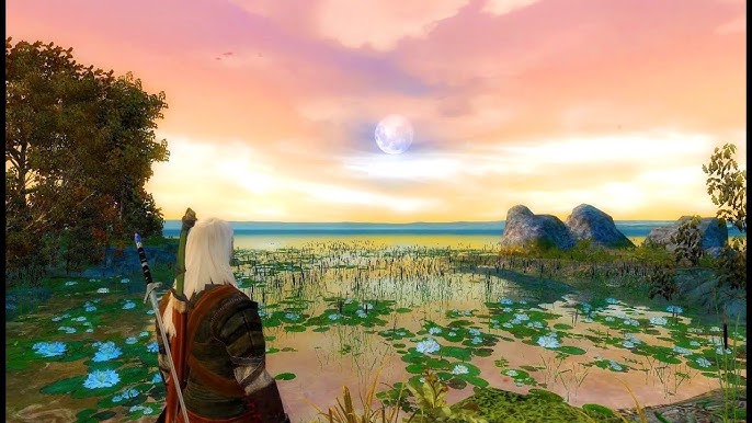 REMASTERING The Witcher 2 with 100+ Mods. 