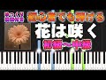 【楽譜あり】花は咲く/東日本大震災復興支援ソング（ピアノソロ初級～中級・初心者向け）花は咲くプロジェクト【ピアノアレンジ楽譜】/簡単/ゆっくり演奏付き/Flowers Will Bloom