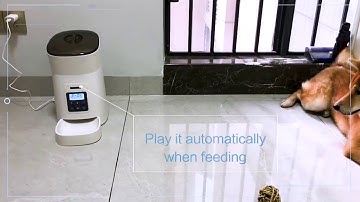 Petrust™ PP002 Automatic Pet Feeder