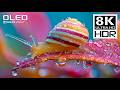 BEST OF 8K HDR 120FPS Dolby Vision 8K Video ULTRA HD BEST OF 8K HDR 120FPS Dolby Vision 8K Video ULTRA HD