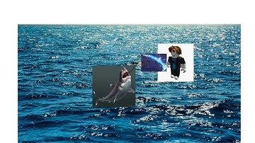 Exposing hackers part 1