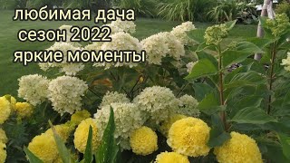 любимая дача/яркие моменты сезон 2022🍀🏵️🍓