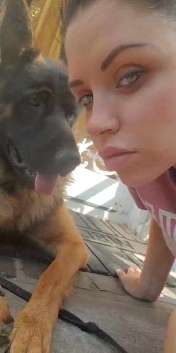 german shepherd Kiss dog #shorts #frenchkiss