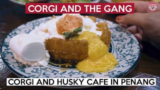 Corgi and Husky Cafe In Penang