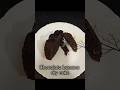 Chocolate Banana Dry Cake Recipe | Easy Tea-Time Cake #Shorts