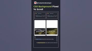 🚀 CSS Background: Fixed vs Scroll Explained! | #css #coding  #shortvideo