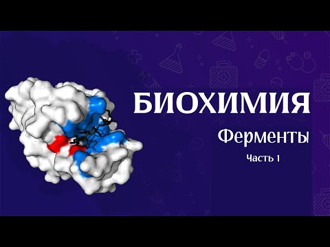 Биохимия   Ферменты часть 1